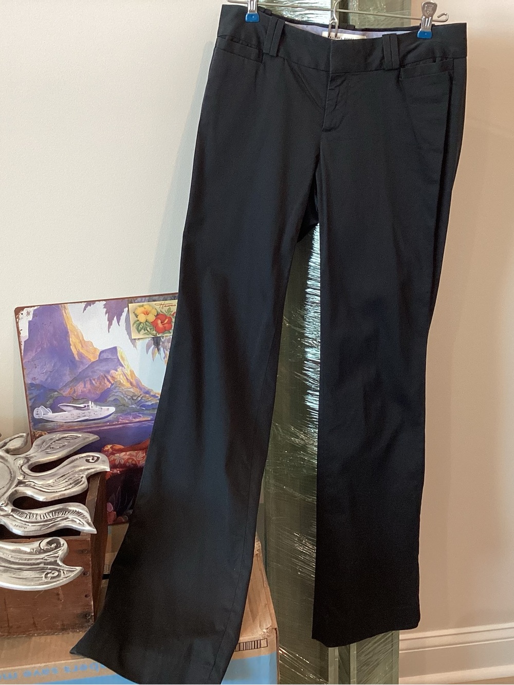 Banana Republic Black Women’s Dress Pants. With a Slight Flare.